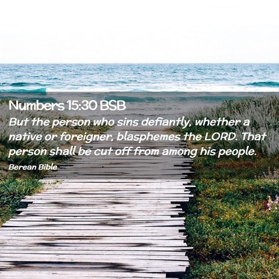 Picture 02 - Numbers 15:30 BSB - But the person who sins defiantly, whether a - Bible Verse Picture