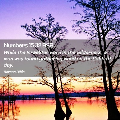 Picture 02 - Numbers 15:32 BSB - While the Israelites were in the wilderness, a - Bible Verse Picture