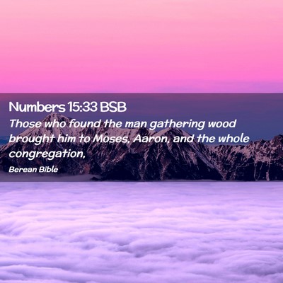 Picture 02 - Numbers 15:33 BSB - Those who found the man gathering wood brought - Bible Verse Picture
