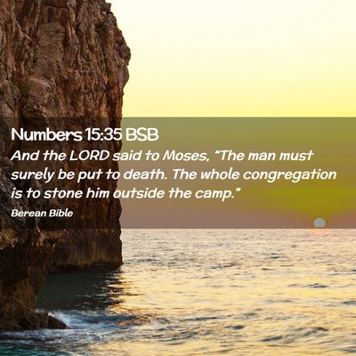 Picture 02 - Numbers 15:35 BSB - And the LORD said to Moses, “The man must - Bible Verse Picture