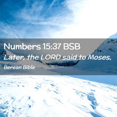 Picture 02 - Numbers 15:37 BSB - Later, the LORD said to - Bible Verse Picture