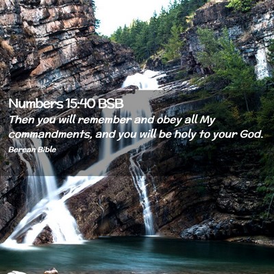 Picture 02 - Numbers 15:40 BSB - Then you will remember and obey all My - Bible Verse Picture