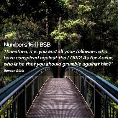 Picture 02 - Numbers 16:11 BSB - Therefore, it is you and all your followers who - Bible Verse Picture