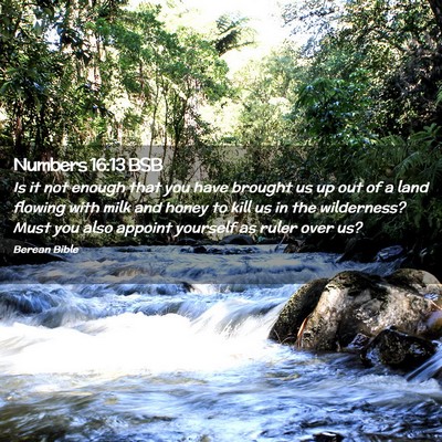 Picture 02 - Numbers 16:13 BSB - Is it not enough that you have brought us up out - Bible Verse Picture