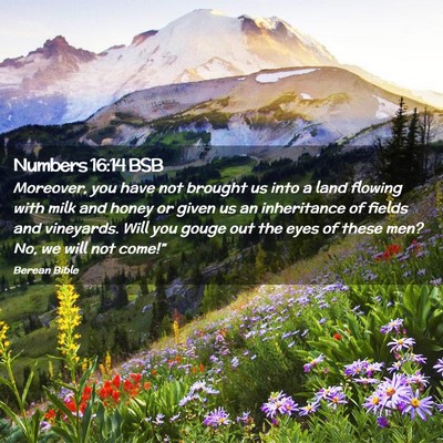 Picture 02 - Numbers 16:14 BSB - Moreover, you have not brought us into a land - Bible Verse Picture