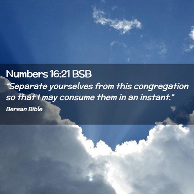 Picture 02 - Numbers 16:21 BSB - “Separate yourselves from this congregation so - Bible Verse Picture