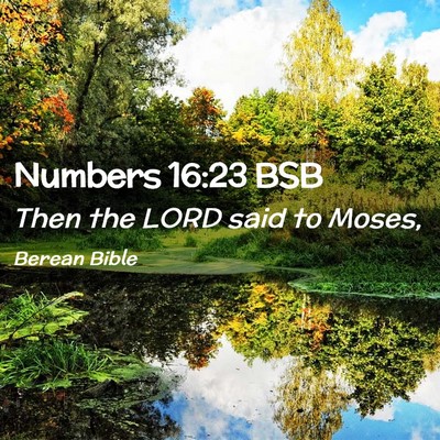 Picture 02 - Numbers 16:23 BSB - Then the LORD said to - Bible Verse Picture