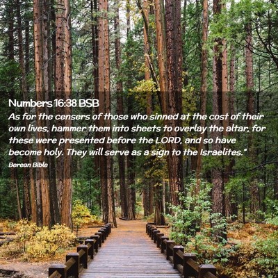 Picture 02 - Numbers 16:38 BSB - As for the censers of those who sinned at the - Bible Verse Picture