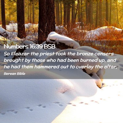 Picture 02 - Numbers 16:39 BSB - So Eleazar the priest took the bronze censers - Bible Verse Picture