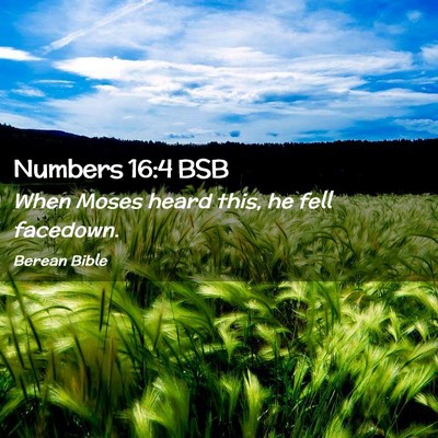 Picture 02 - Numbers 16:4 BSB - When Moses heard this, he fell - Bible Verse Picture