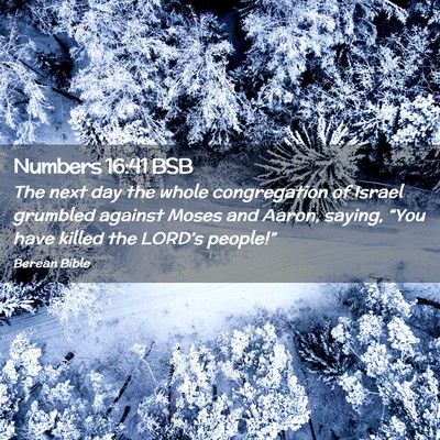 Picture 02 - Numbers 16:41 BSB - The next day the whole congregation of Israel - Bible Verse Picture