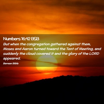 Picture 02 - Numbers 16:42 BSB - But when the congregation gathered against them, - Bible Verse Picture
