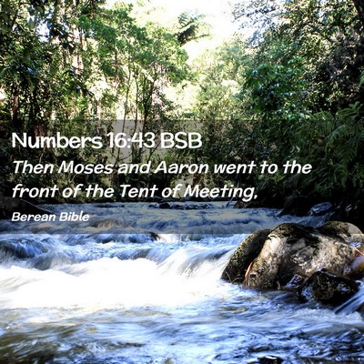 Picture 02 - Numbers 16:43 BSB - Then Moses and Aaron went to the front of the - Bible Verse Picture