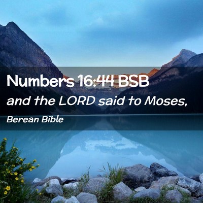 Picture 02 - Numbers 16:44 BSB - and the LORD said to - Bible Verse Picture