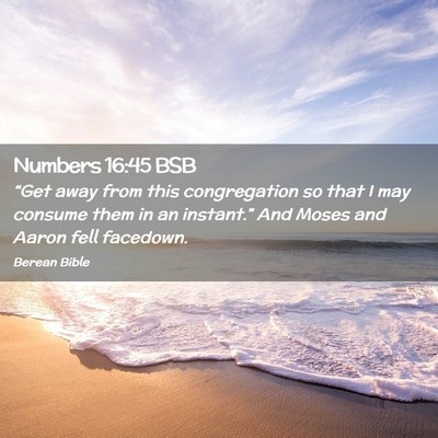 Picture 02 - Numbers 16:45 BSB - “Get away from this congregation so that I may - Bible Verse Picture