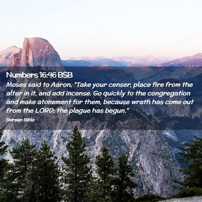 Picture 02 - Numbers 16:46 BSB - Moses said to Aaron, “Take your censer, place - Bible Verse Picture