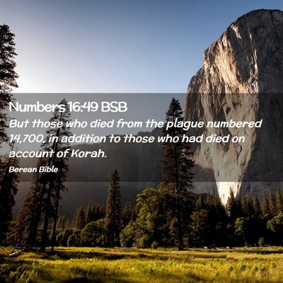 Picture 02 - Numbers 16:49 BSB - But those who died from the plague numbered - Bible Verse Picture