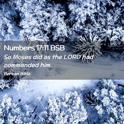 Picture 02 - Numbers 17:11 BSB - So Moses did as the LORD had commanded - Bible Verse Picture