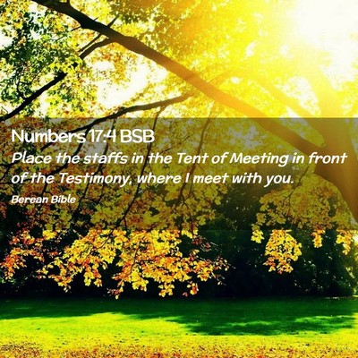 Picture 02 - Numbers 17:4 BSB - Place the staffs in the Tent of Meeting in front - Bible Verse Picture