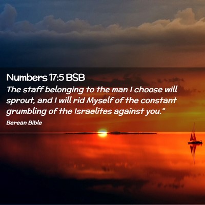 Picture 02 - Numbers 17:5 BSB - The staff belonging to the man I choose will - Bible Verse Picture