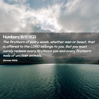 Picture 02 - Numbers 18:15 BSB - The firstborn of every womb, whether man or - Bible Verse Picture