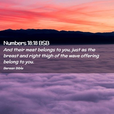 Picture 02 - Numbers 18:18 BSB - And their meat belongs to you, just as the breast - Bible Verse Picture