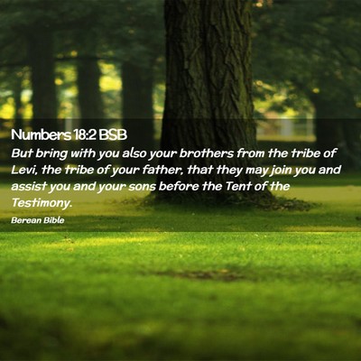 Picture 02 - Numbers 18:2 BSB - But bring with you also your brothers from the - Bible Verse Picture