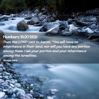 Picture 02 - Numbers 18:20 BSB - Then the LORD said to Aaron, “You will have no - Bible Verse Picture