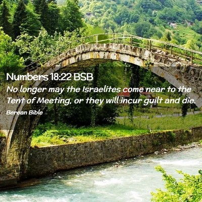 Picture 02 - Numbers 18:22 BSB - No longer may the Israelites come near to the - Bible Verse Picture