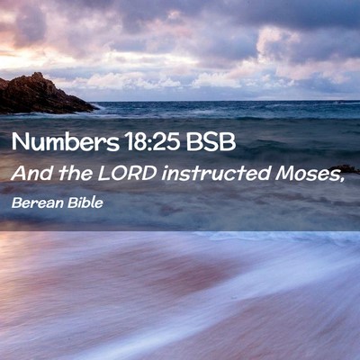 Picture 02 - Numbers 18:25 BSB - And the LORD instructed - Bible Verse Picture