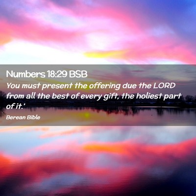 Picture 02 - Numbers 18:29 BSB - You must present the offering due the LORD from - Bible Verse Picture