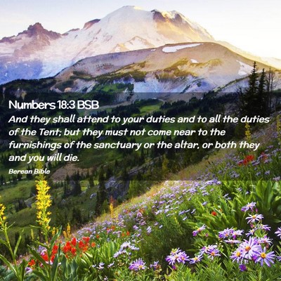 Picture 02 - Numbers 18:3 BSB - And they shall attend to your duties and to all - Bible Verse Picture