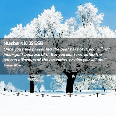 Picture 02 - Numbers 18:32 BSB - Once you have presented the best part of it, you - Bible Verse Picture