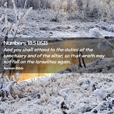 Picture 02 - Numbers 18:5 BSB - And you shall attend to the duties of the - Bible Verse Picture