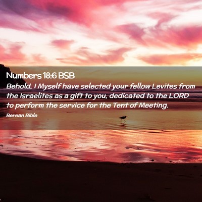 Picture 02 - Numbers 18:6 BSB - Behold, I Myself have selected your fellow - Bible Verse Picture