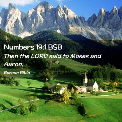 Picture 02 - Numbers 19:1 BSB - Then the LORD said to Moses and - Bible Verse Picture