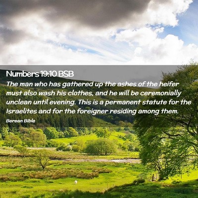 Picture 02 - Numbers 19:10 BSB - The man who has gathered up the ashes of the - Bible Verse Picture