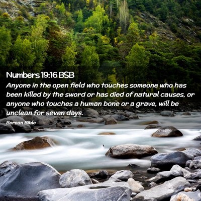 Picture 02 - Numbers 19:16 BSB - Anyone in the open field who touches someone who - Bible Verse Picture