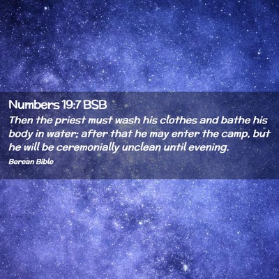 Picture 02 - Numbers 19:7 BSB - Then the priest must wash his clothes and bathe - Bible Verse Picture
