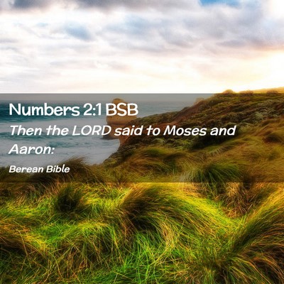 Picture 02 - Numbers 2:1 BSB - Then the LORD said to Moses and - Bible Verse Picture