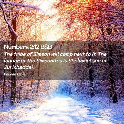 Picture 02 - Numbers 2:12 BSB - The tribe of Simeon will camp next to it. The - Bible Verse Picture