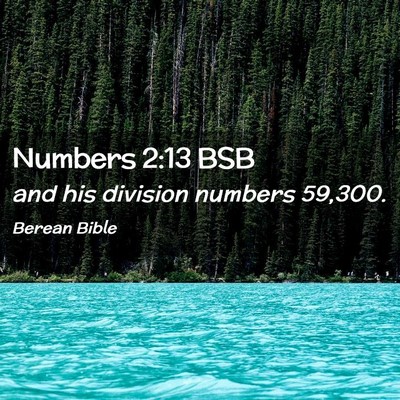 Picture 02 - Numbers 2:13 BSB - and his division numbers - Bible Verse Picture