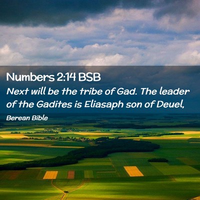 Picture 02 - Numbers 2:14 BSB - Next will be the tribe of Gad. The leader of the - Bible Verse Picture