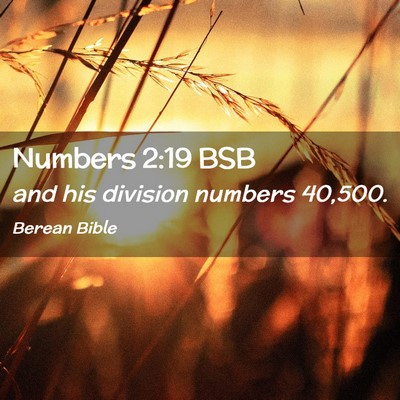 Picture 02 - Numbers 2:19 BSB - and his division numbers - Bible Verse Picture
