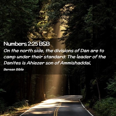 Picture 02 - Numbers 2:25 BSB - On the north side, the divisions of Dan are to - Bible Verse Picture