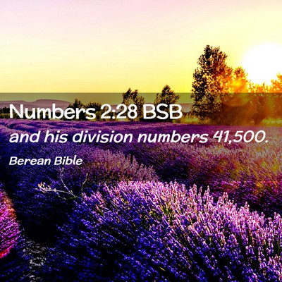 Picture 02 - Numbers 2:28 BSB - and his division numbers - Bible Verse Picture