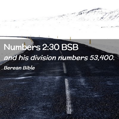 Picture 02 - Numbers 2:30 BSB - and his division numbers - Bible Verse Picture