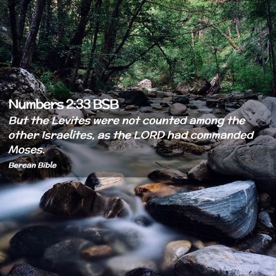 Picture 02 - Numbers 2:33 BSB - But the Levites were not counted among the other - Bible Verse Picture