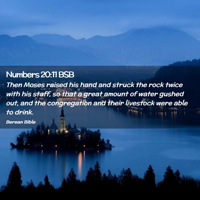 Picture 02 - Numbers 20:11 BSB - Then Moses raised his hand and struck the rock - Bible Verse Picture