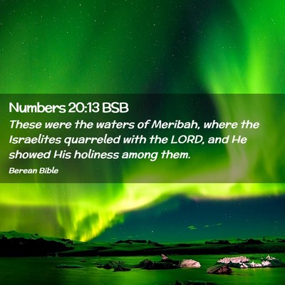 Picture 02 - Numbers 20:13 BSB - These were the waters of Meribah, where the - Bible Verse Picture
